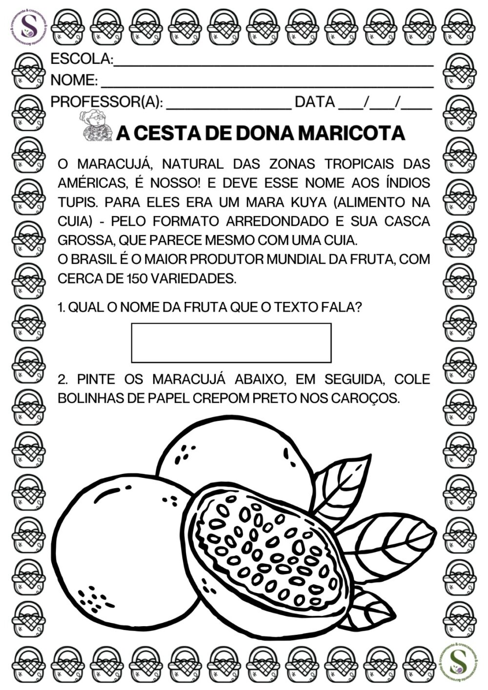 MARICOTA 1º ANO 2024 - Imagem 5