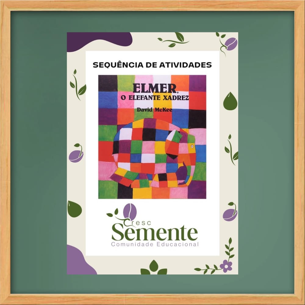 ELMER 2º ANO 2024