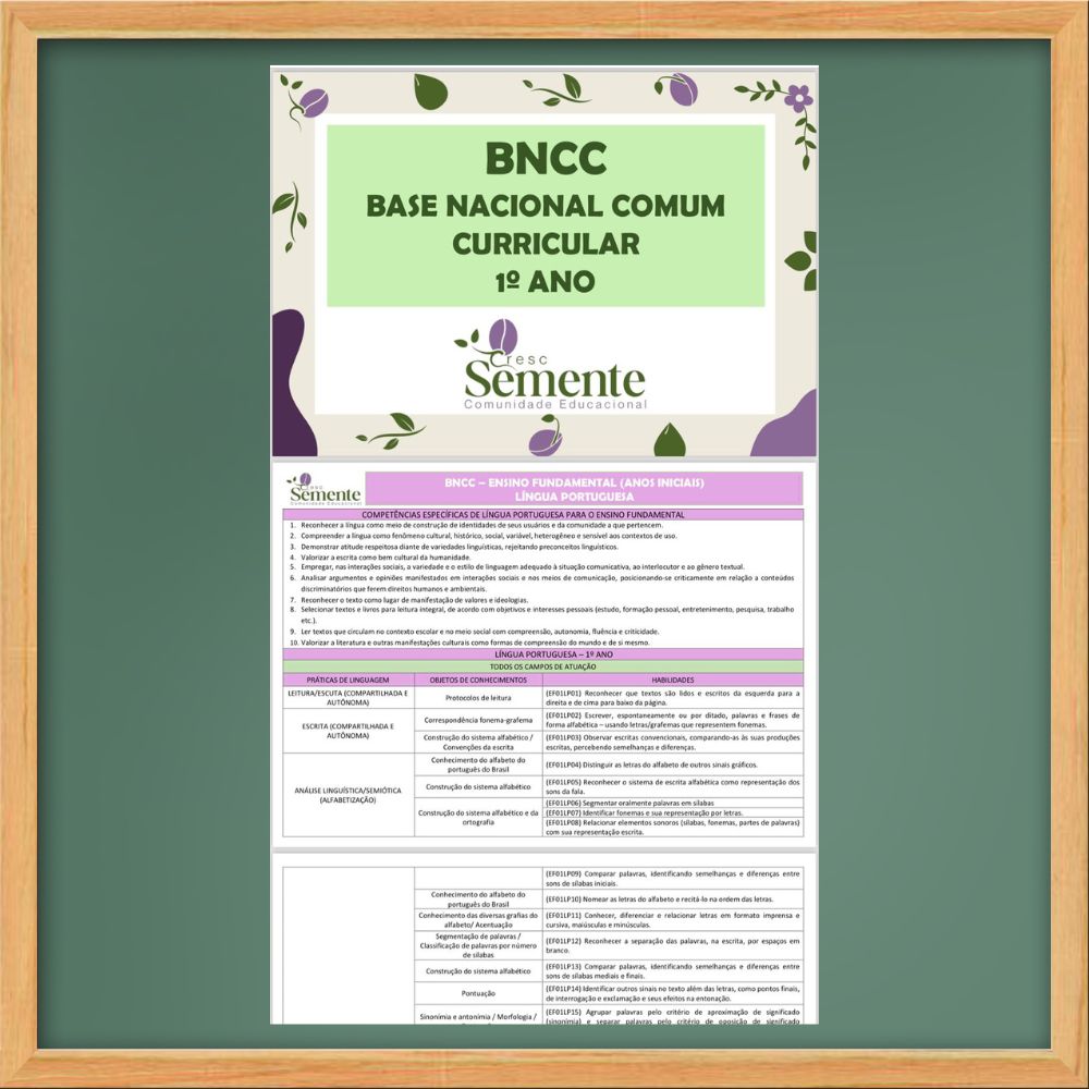 BNCC  DO 1º ANO