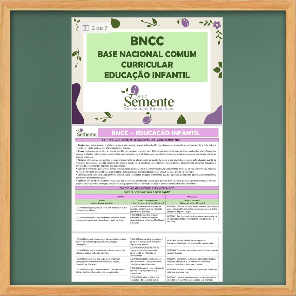 BNCC DA EDUCAÇÃO INFANTIL COMPLETA
