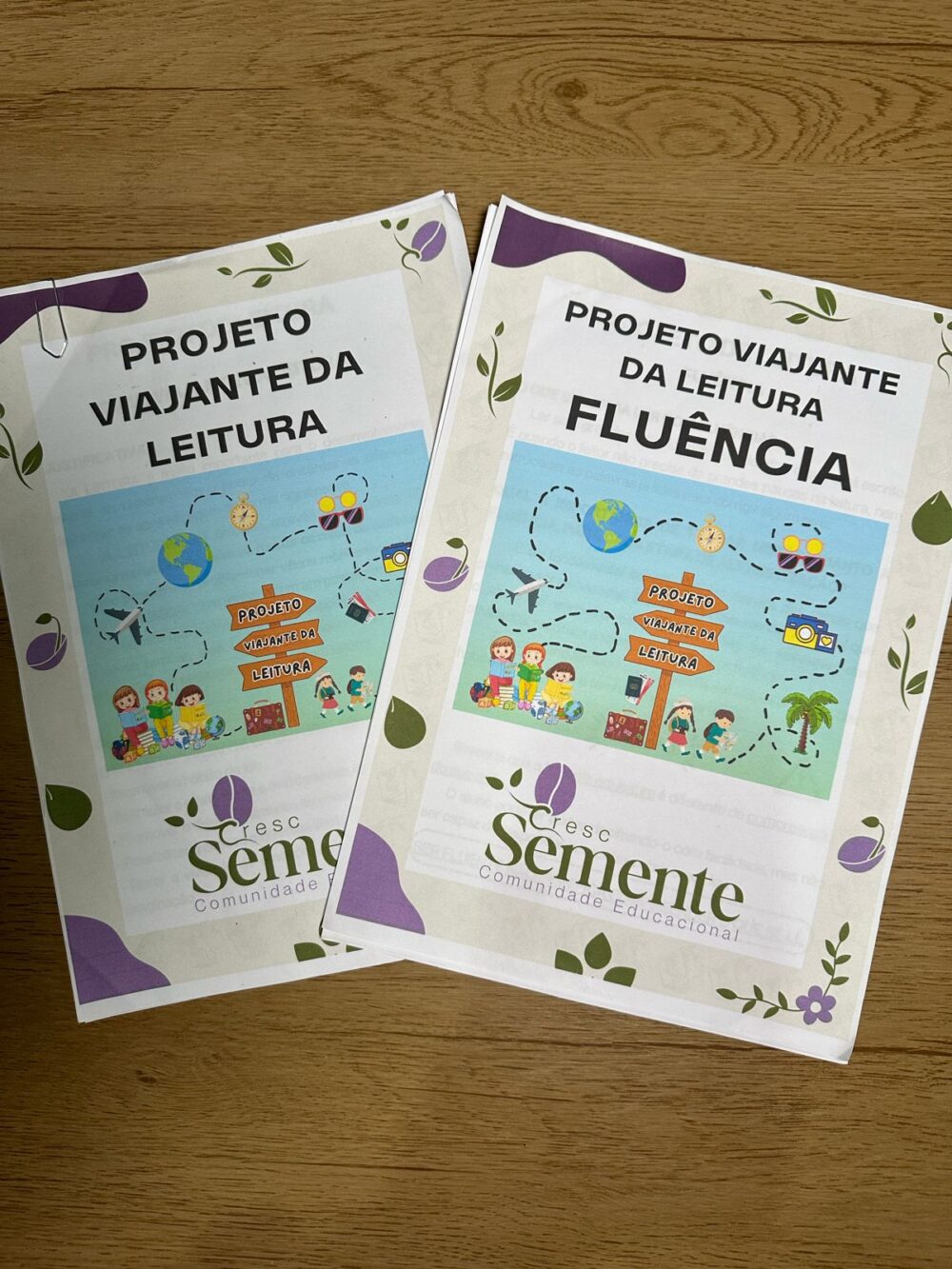 PROJETO VIAJANTE DA LEITURA - Imagem 2