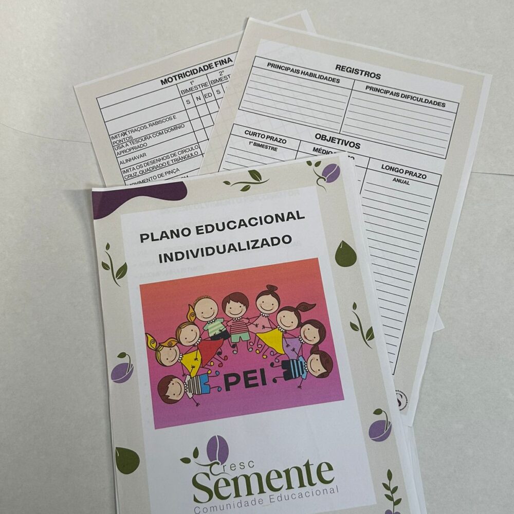 PEI (PLANO EDUCACIONAL INDIVIDUALIZADO)- EDITÁVEL + BÔNUS