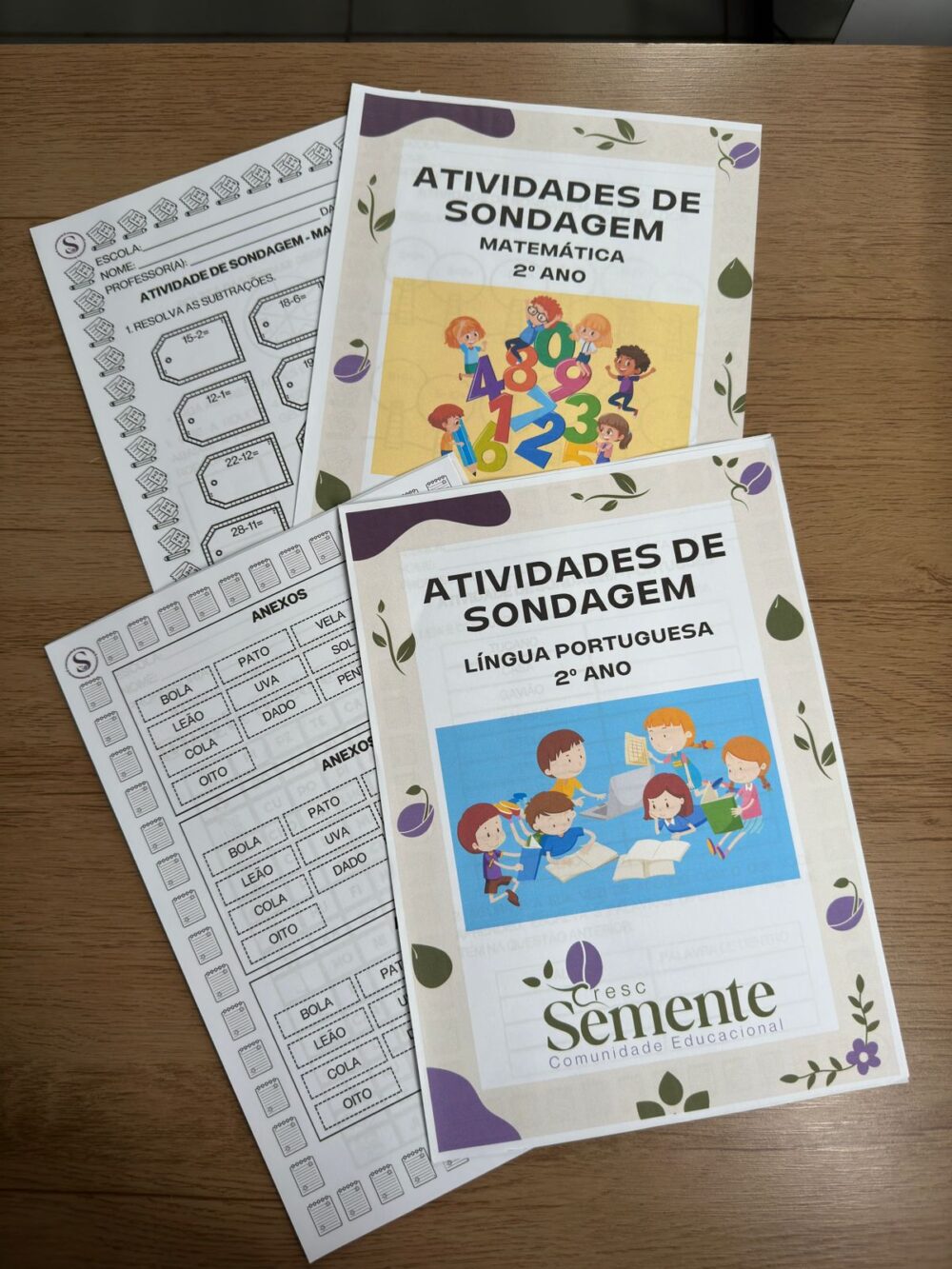 COMBO: SONDAGEM DE LÍNGUA PORTUGUESA E MÁTEMÁTICA + RECURSOS