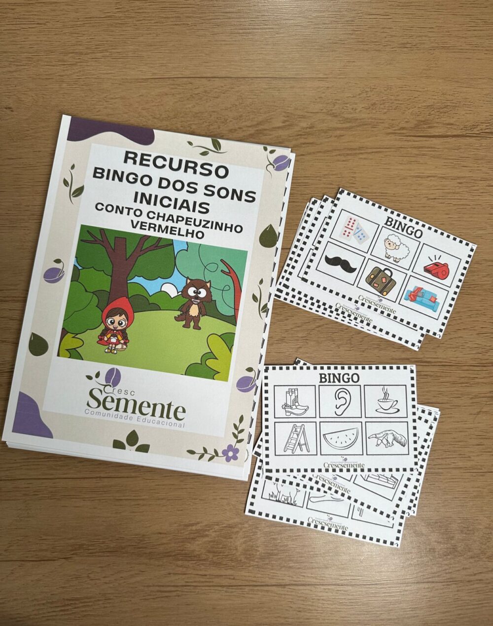 SEQUÊNCIA DIDÁTICA CHAPEUZINHO VERMELHO 2º ANO+ RECURSOS - Imagem 7
