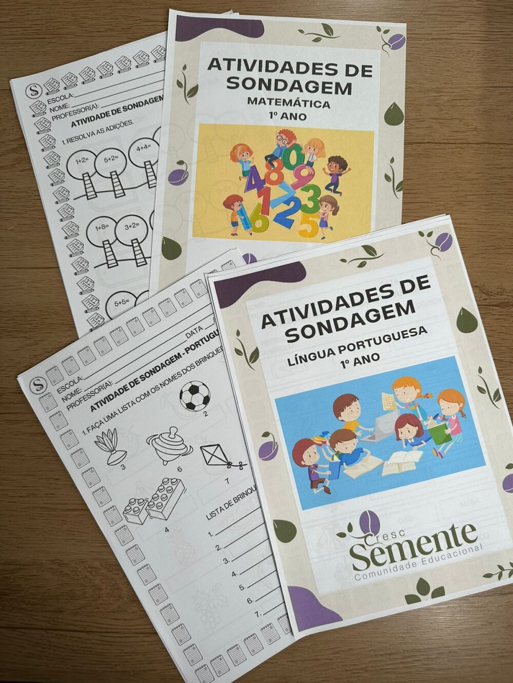 COMBO: SONDAGENS 1º ANO LÍNGUA PORTUGUESA E MATEMÁTICA + RECURSOS