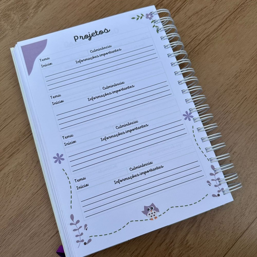 CADERNO PEDAGÓGICO COORDENAÇÃO - Imagem 4