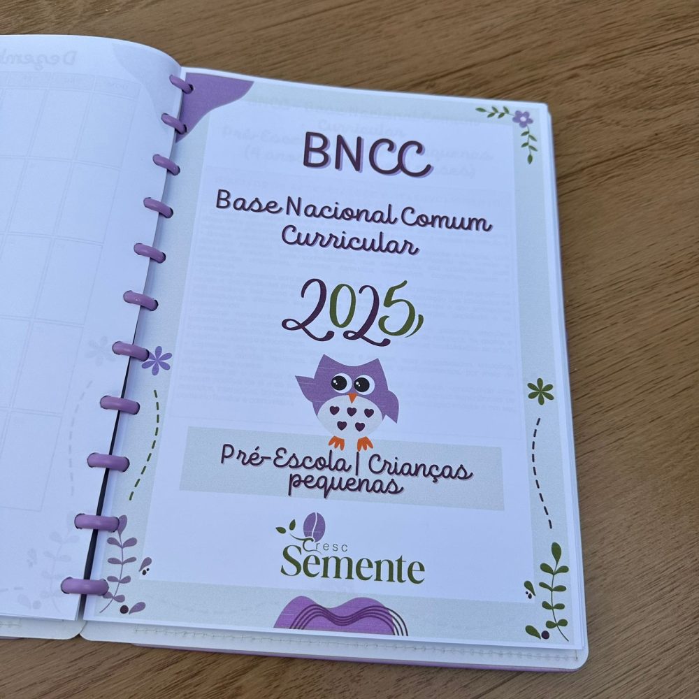 CADERNO PEDAGÓGICO FUNDAMENTAL 1 - Imagem 10