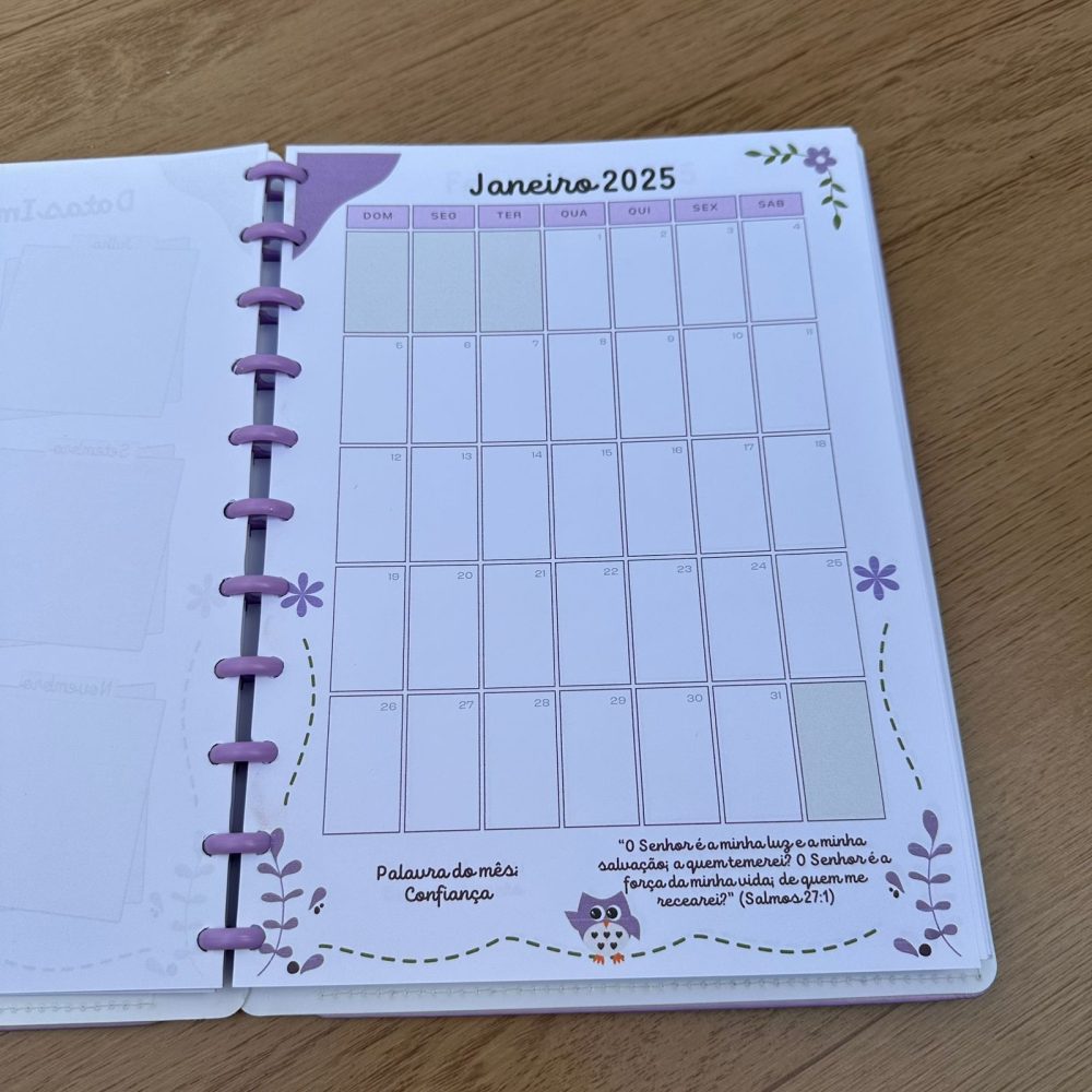 CADERNO PEDAGÓGICO COORDENAÇÃO - Imagem 2