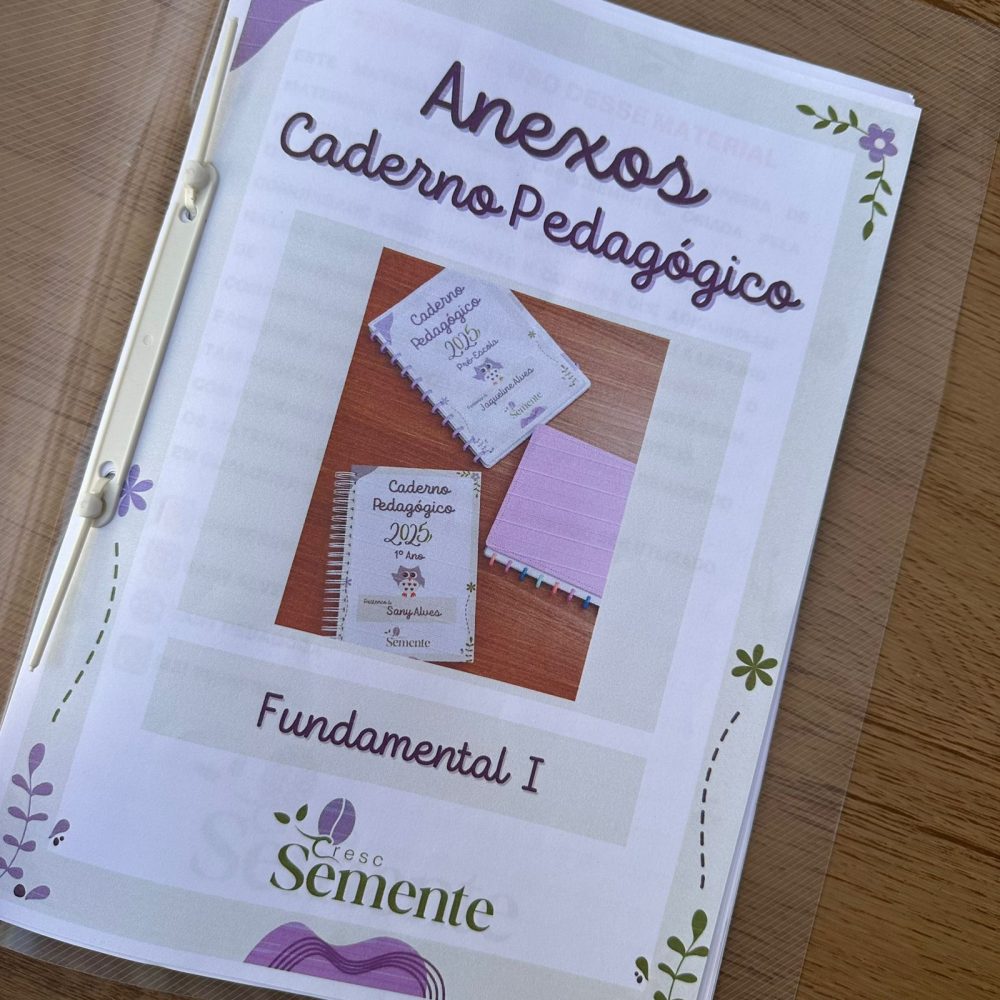CADERNO PEDAGÓGICO COORDENAÇÃO - Imagem 3