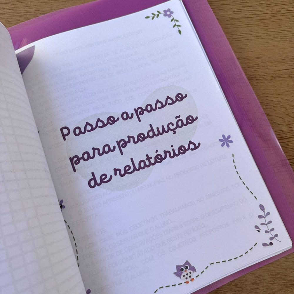 CADERNO PEDAGÓGICO AEE - Imagem 6
