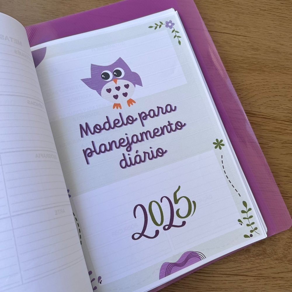 CADERNO PEDAGÓGICO AEE - Imagem 5