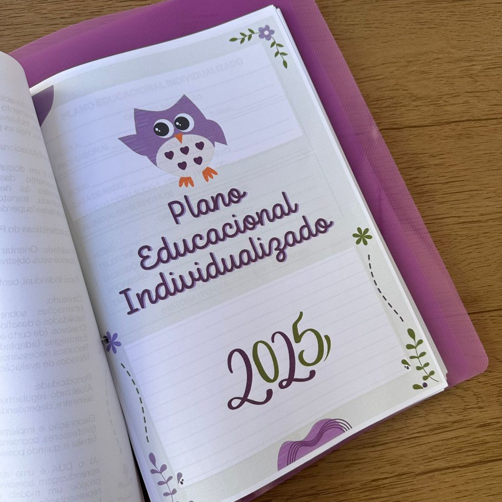 CADERNO PEDAGÓGICO AEE - Imagem 2