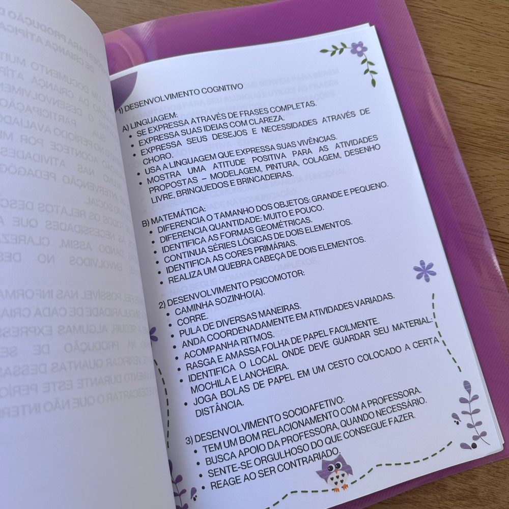 CADERNO PEDAGÓGICO AEE - Imagem 7