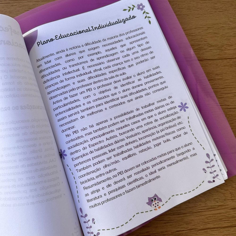 CADERNO PEDAGÓGICO AEE - Imagem 4