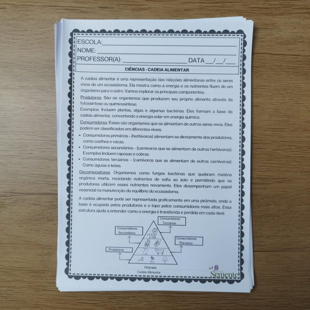 4º ANO - ATIVIDADES MÊS DE MARÇO - Imagem 3