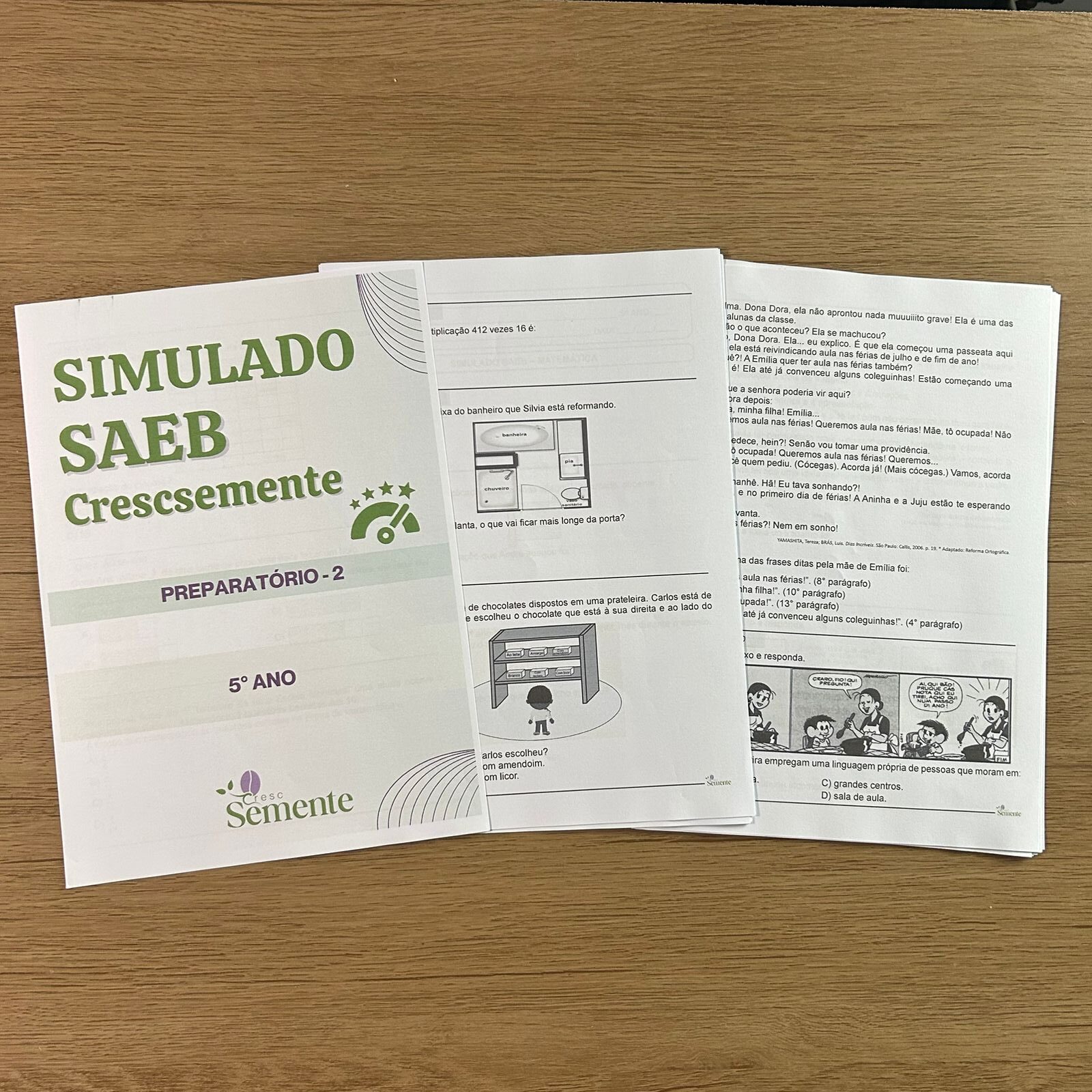 NOVO SIMULADO SAEB 5°ANO NO WORD - COM DESCRITORES - Imagem 3