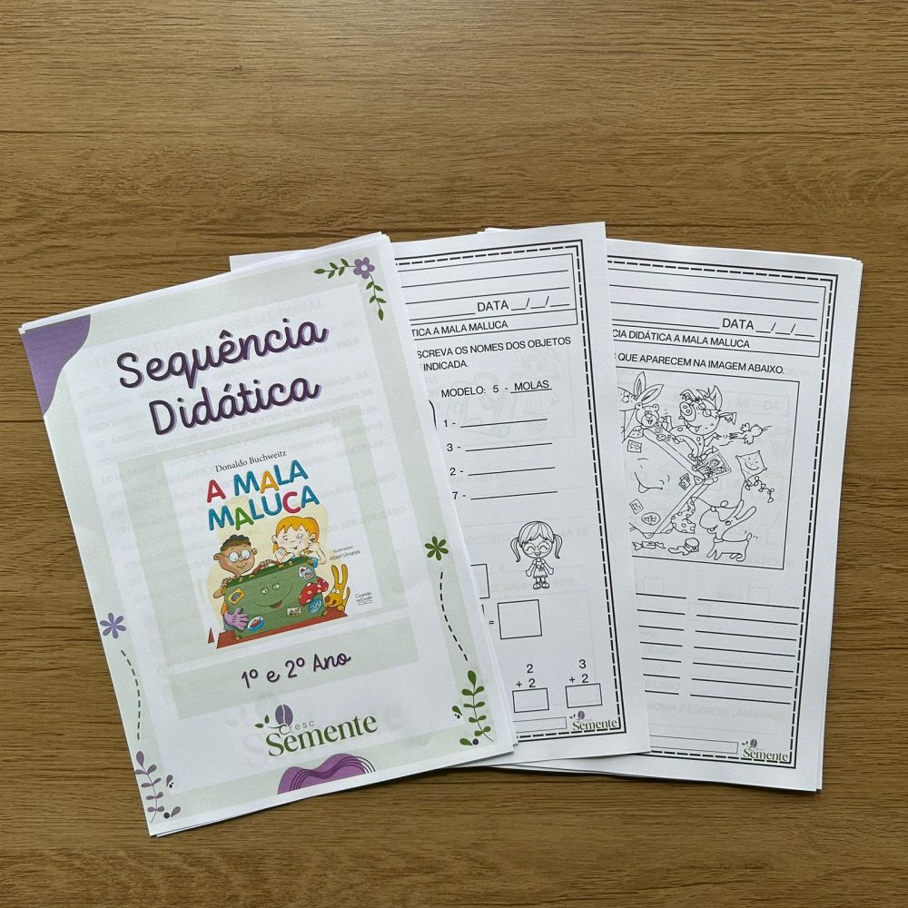 COMBO 4 SEQUÊNCIAS DIDÁTICAS - 1º E 2º ANO - Imagem 2