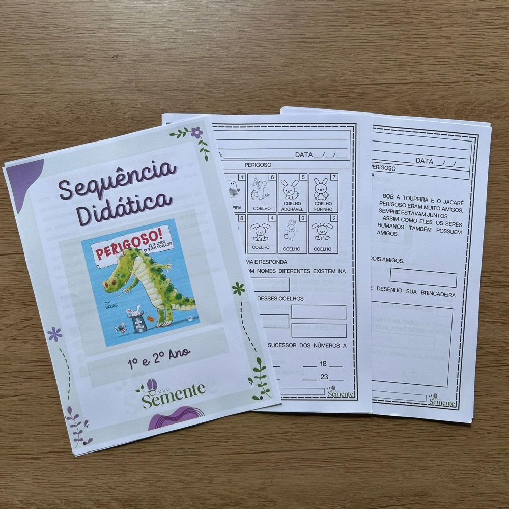 COMBO 4 SEQUÊNCIAS DIDÁTICAS - 1º E 2º ANO - Imagem 7