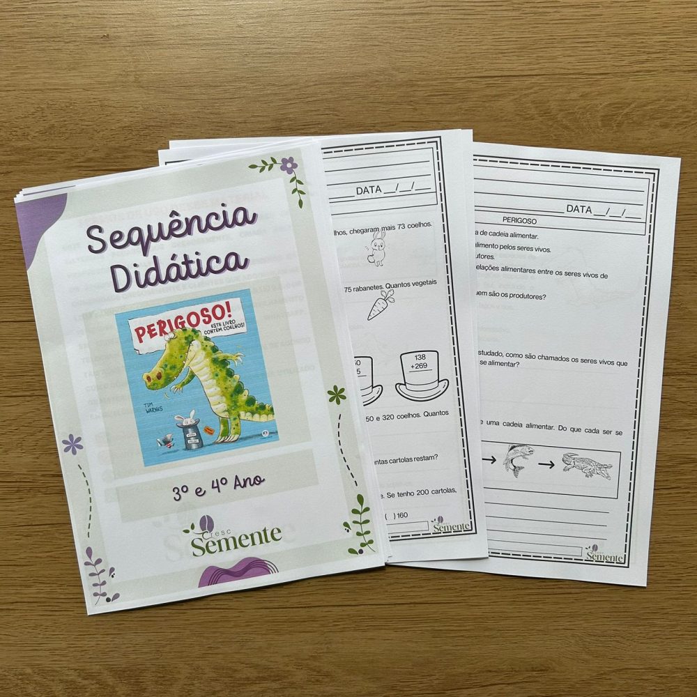 COMBO 4 SEQUÊNCIAS DIDÁTICAS - 3º E 4º ANO - Imagem 6