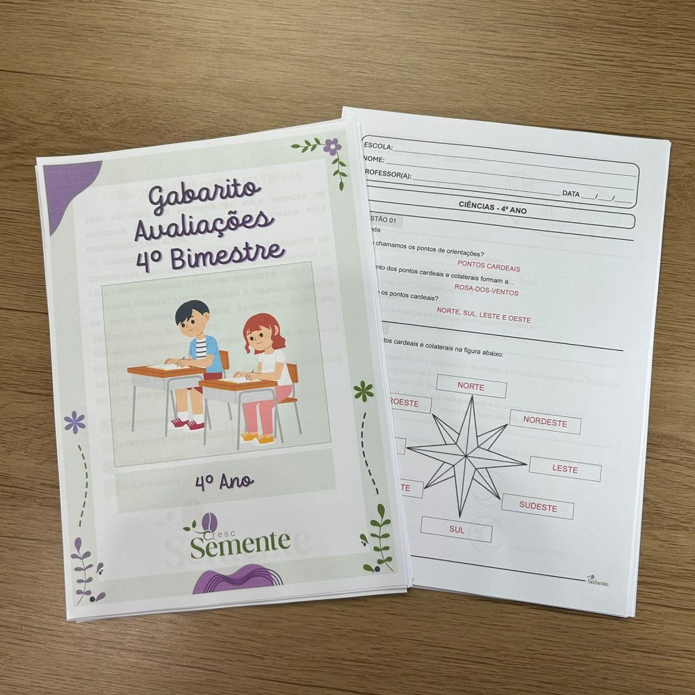 AVALIAÇÕES 4º ANO - 4º BIMESTRE - Imagem 3
