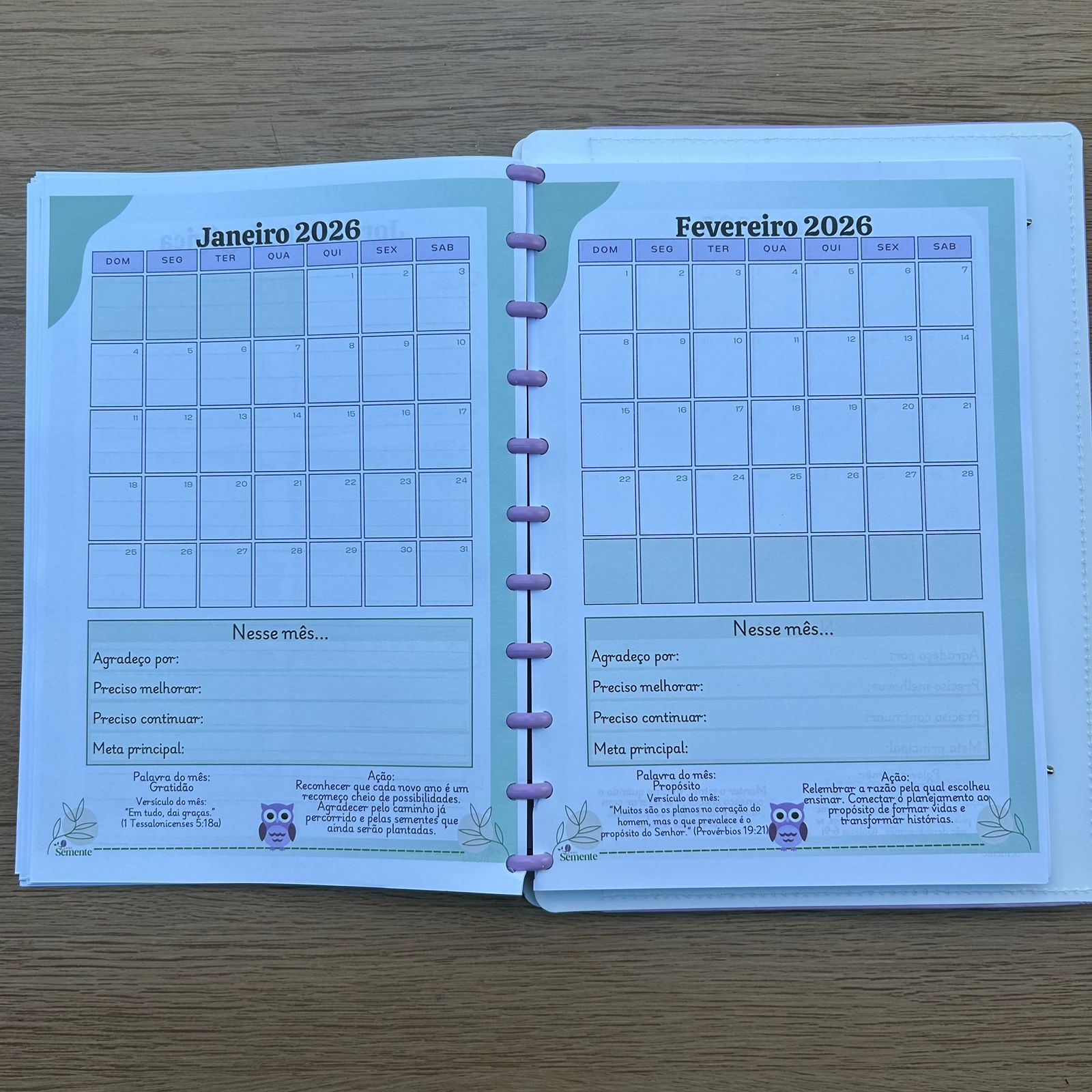 CADERNO PEDAGÓGICO - EDUCAÇÃO INFANTIL 2026 - Imagem 2