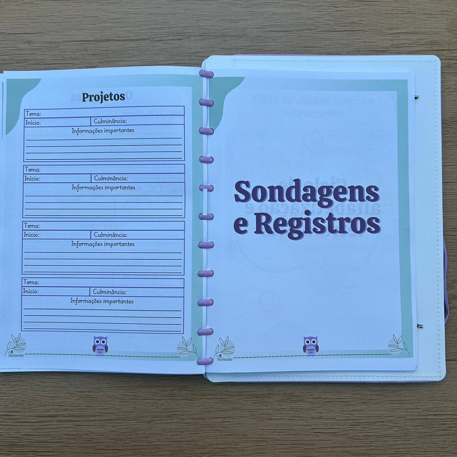 CADERNO PEDAGÓGICO - EDUCAÇÃO INFANTIL 2026 - Imagem 4