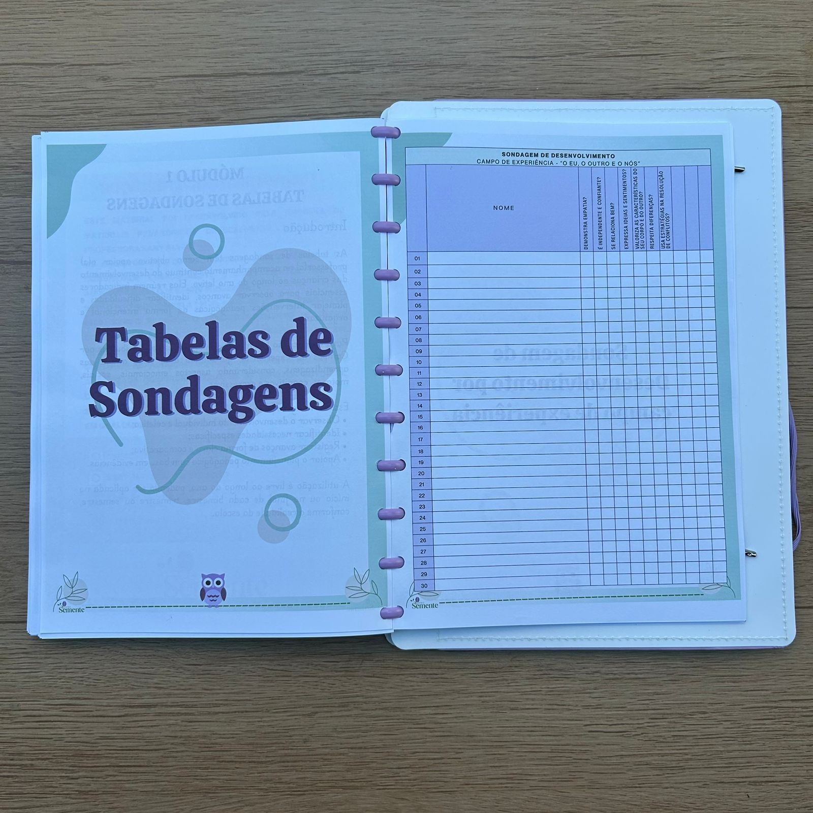 CADERNO PEDAGÓGICO - EDUCAÇÃO INFANTIL 2026 - Imagem 5