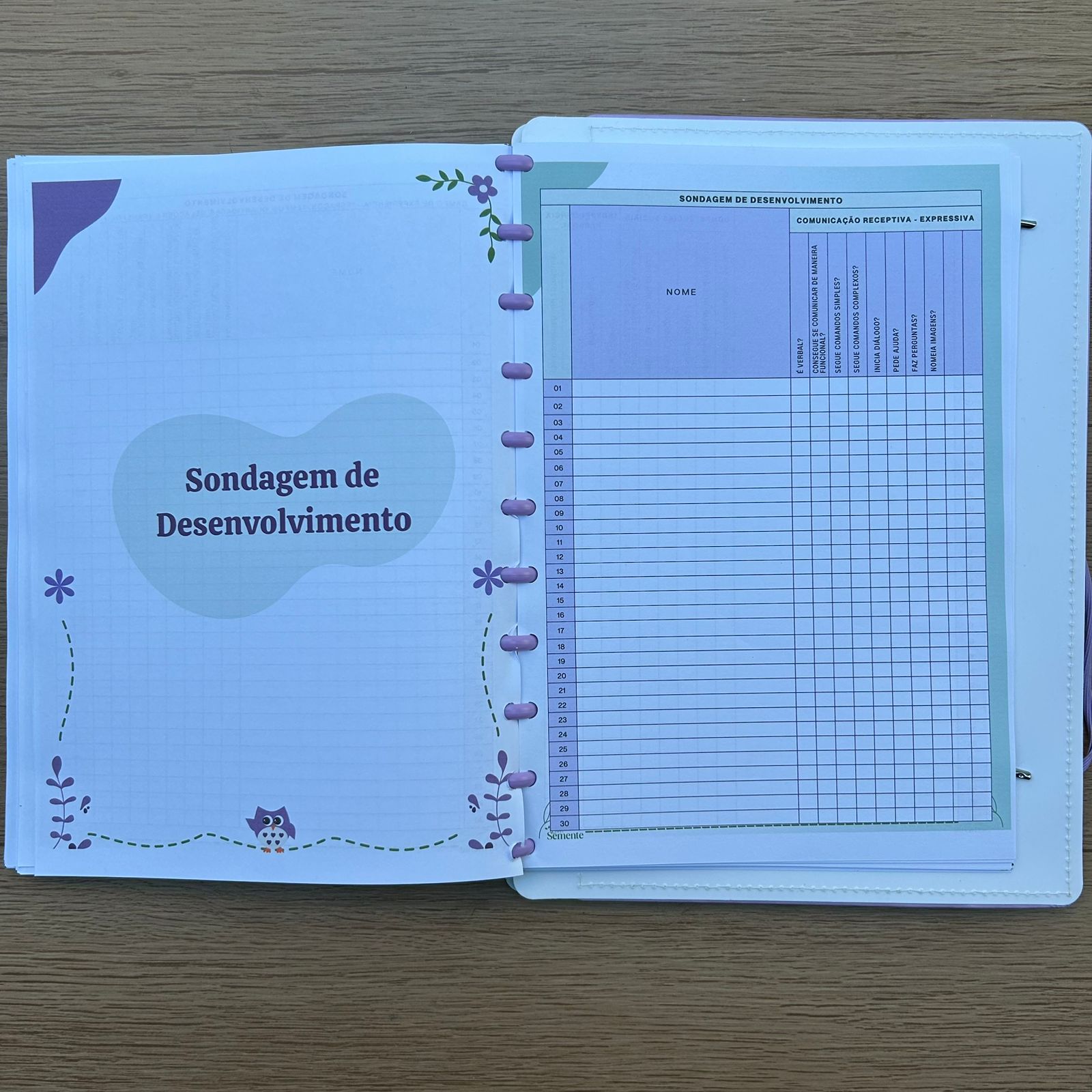 CADERNO PEDAGÓGICO - EDUCAÇÃO INFANTIL 2026 - Imagem 6