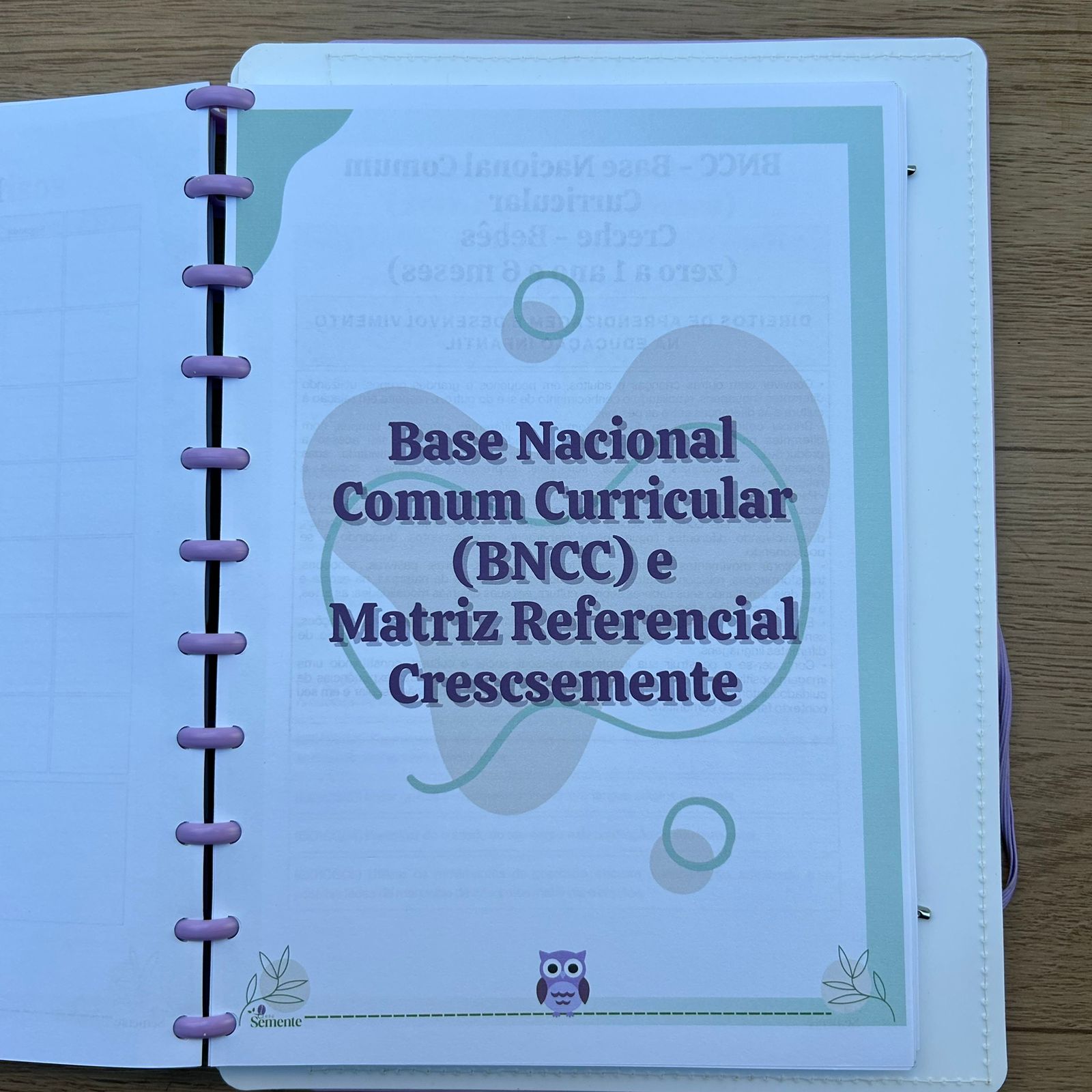 CADERNO PEDAGÓGICO - EDUCAÇÃO INFANTIL 2026 - Imagem 3