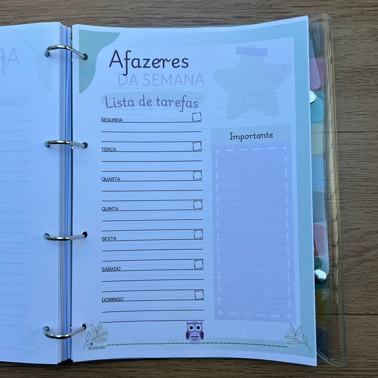 CADERNO PEDAGÓGICO COORDENAÇÃO - 2026 - Imagem 4