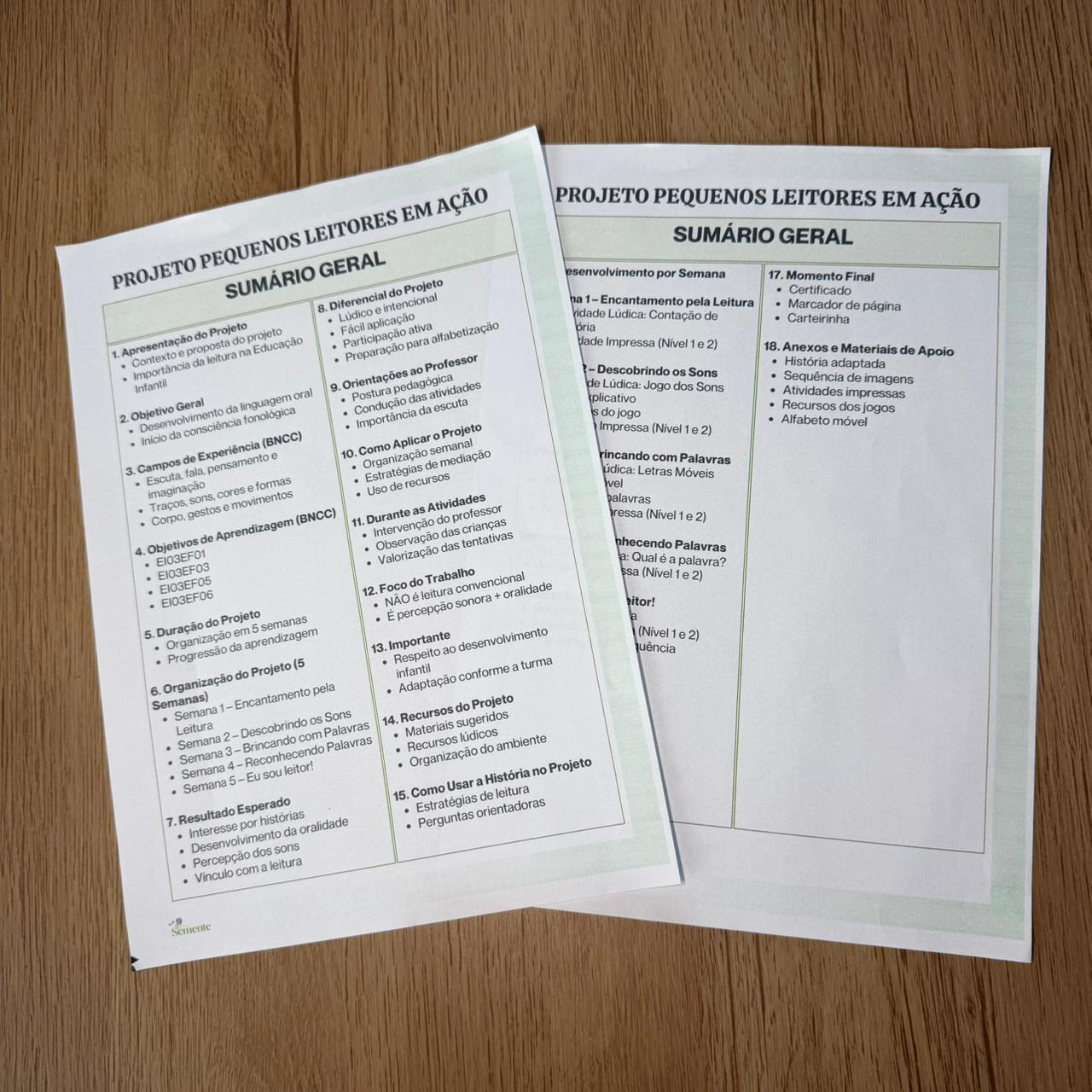 Projeto de Leitura – Fluência Leitora na Prática | Do 1° ao 5º ano - Imagem 17