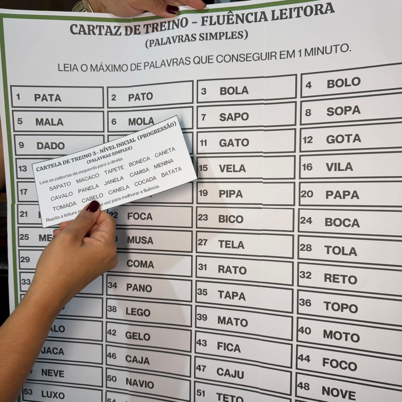 Projeto de Leitura – Fluência Leitora na Prática | Do 1° ao 5º ano - Imagem 16