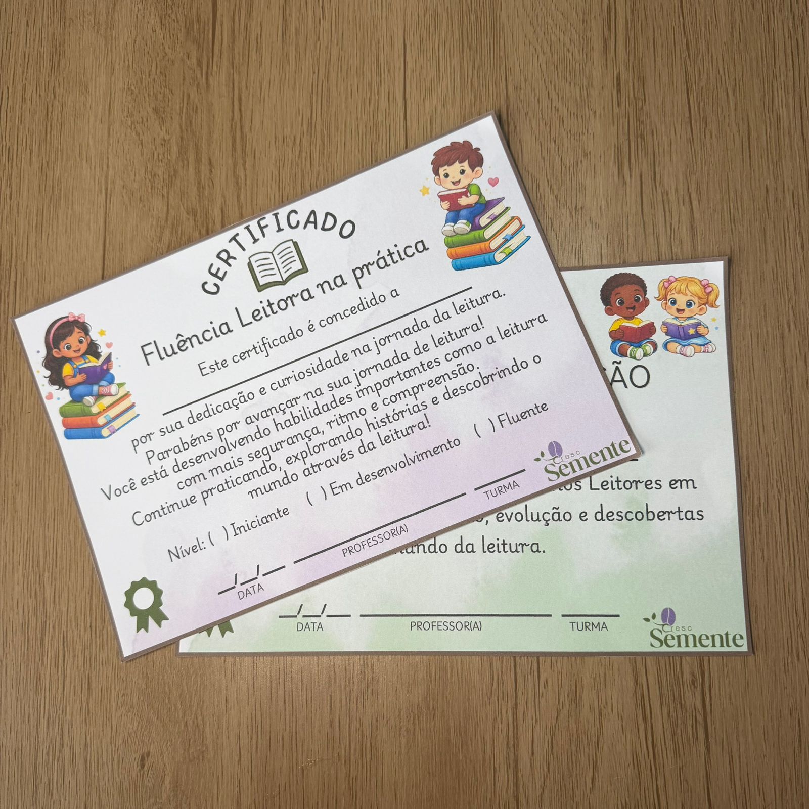 Projeto de Leitura – Fluência Leitora na Prática | Do 1° ao 5º ano - Imagem 11