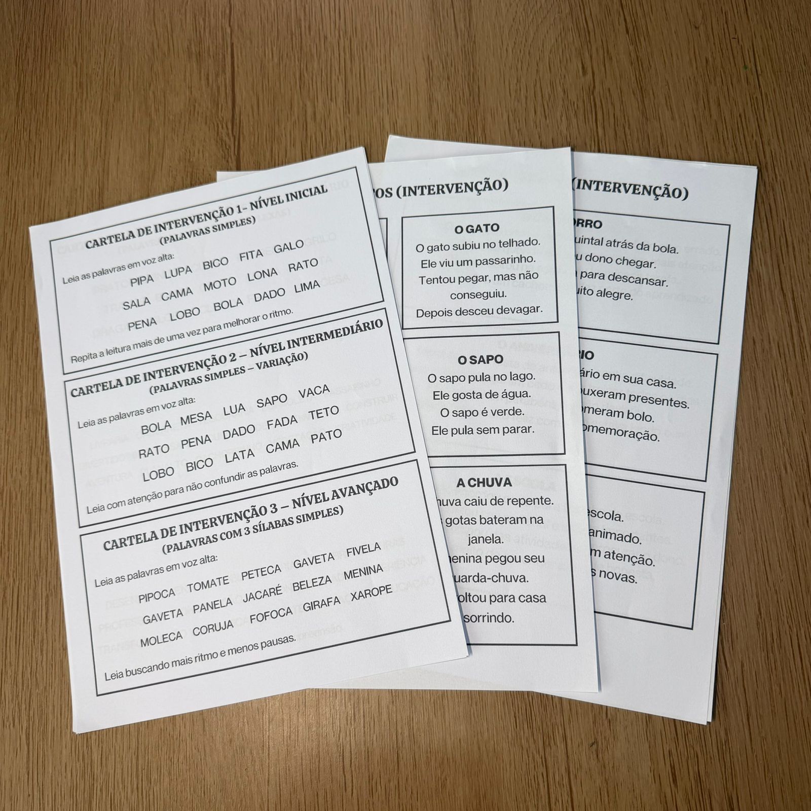 Projeto de Leitura – Fluência Leitora na Prática | Do 1° ao 5º ano - Imagem 5