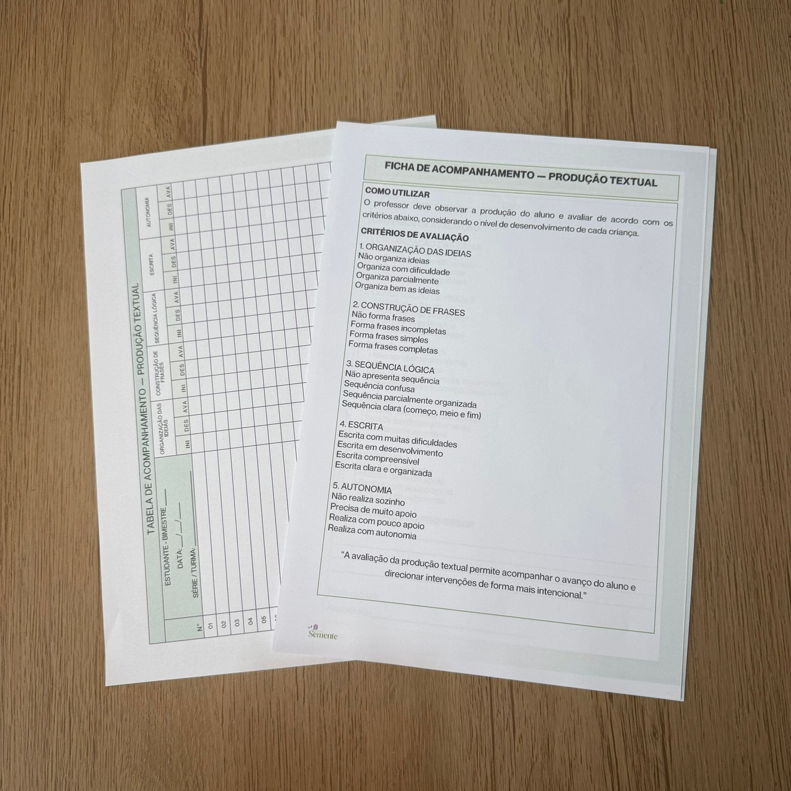 Projeto de Leitura – Fluência Leitora na Prática | Do 1° ao 5º ano - Imagem 6