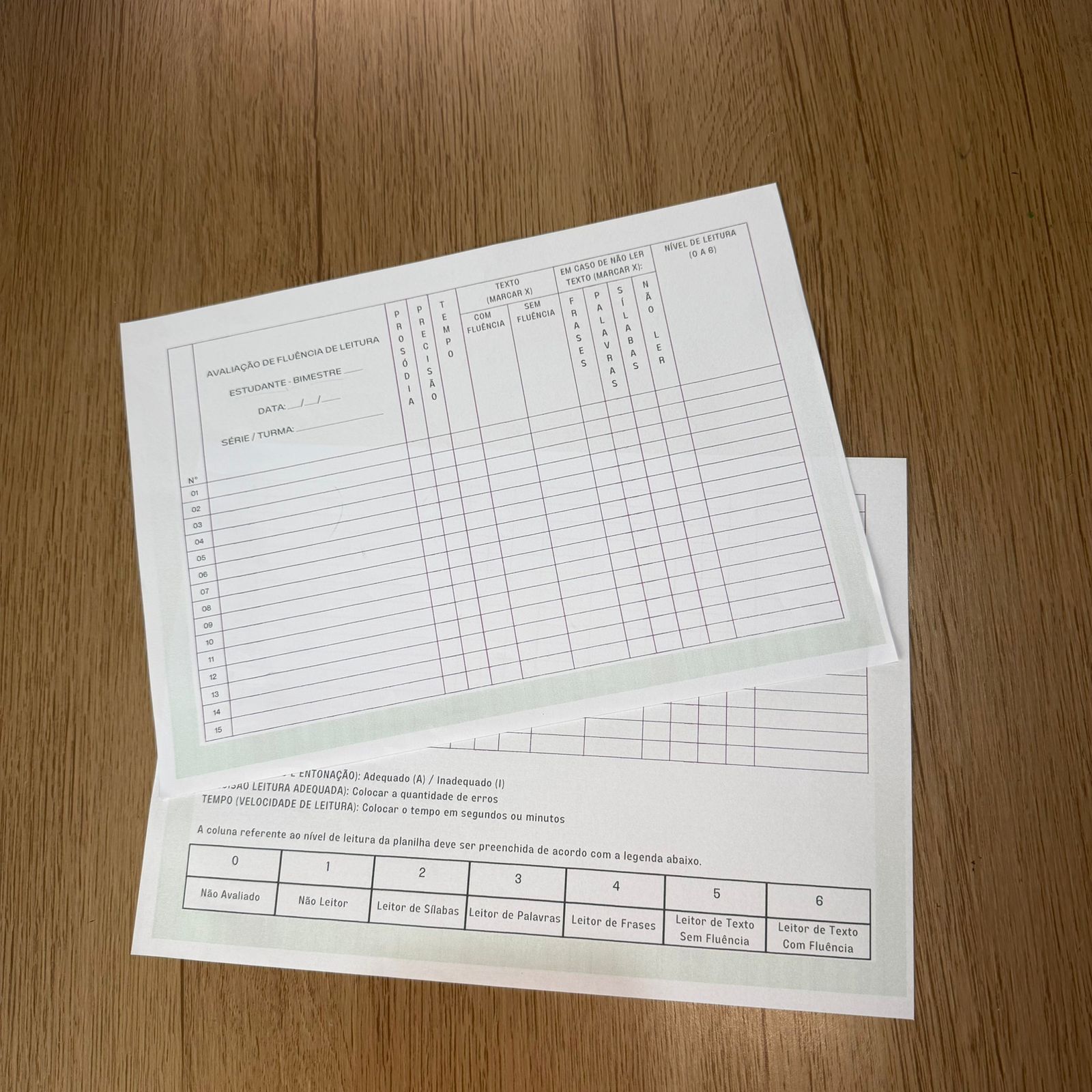 Projeto de Leitura – Fluência Leitora na Prática | Do 1° ao 5º ano - Imagem 9