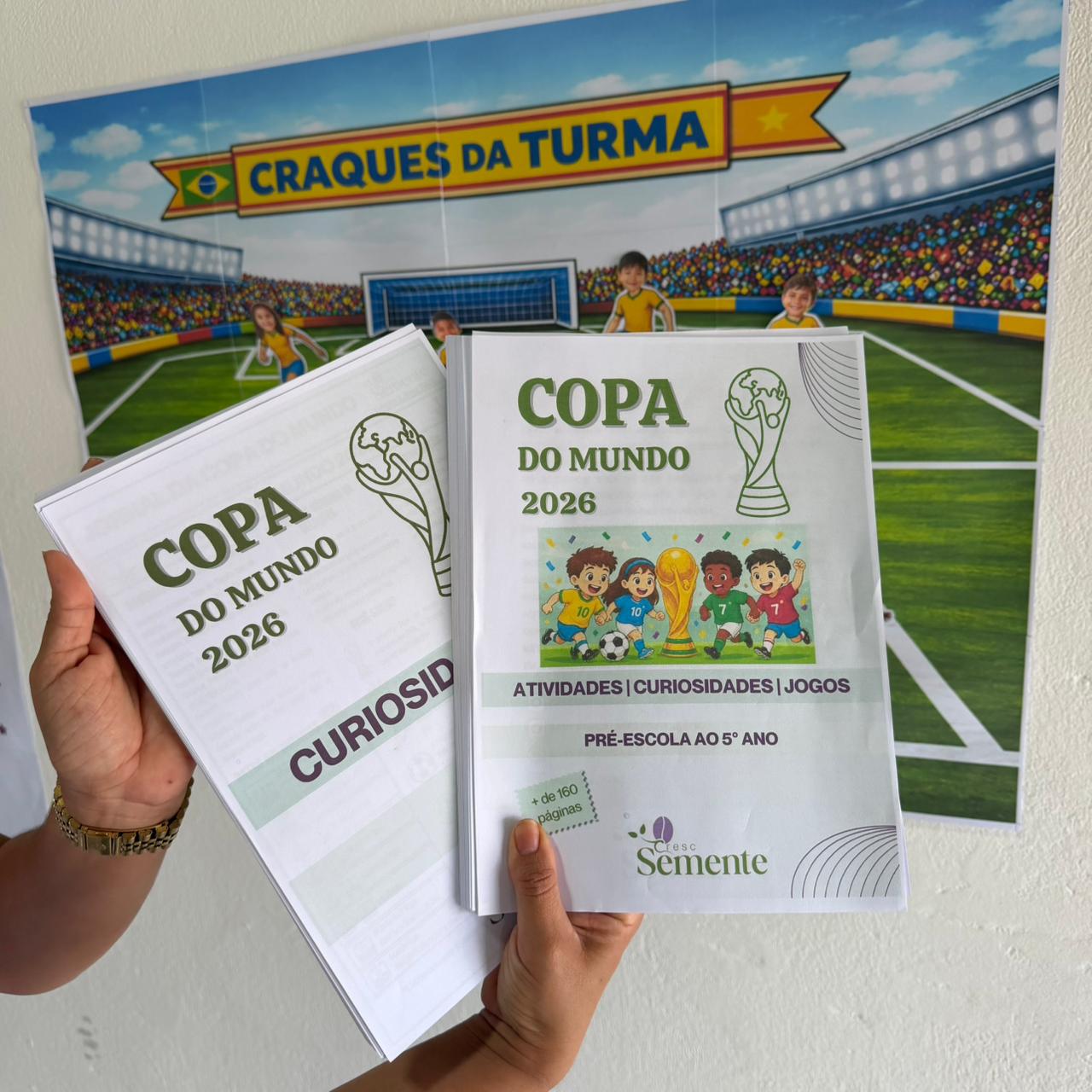 COMBO COMPLETO COPA DO MUNDO - Imagem 17